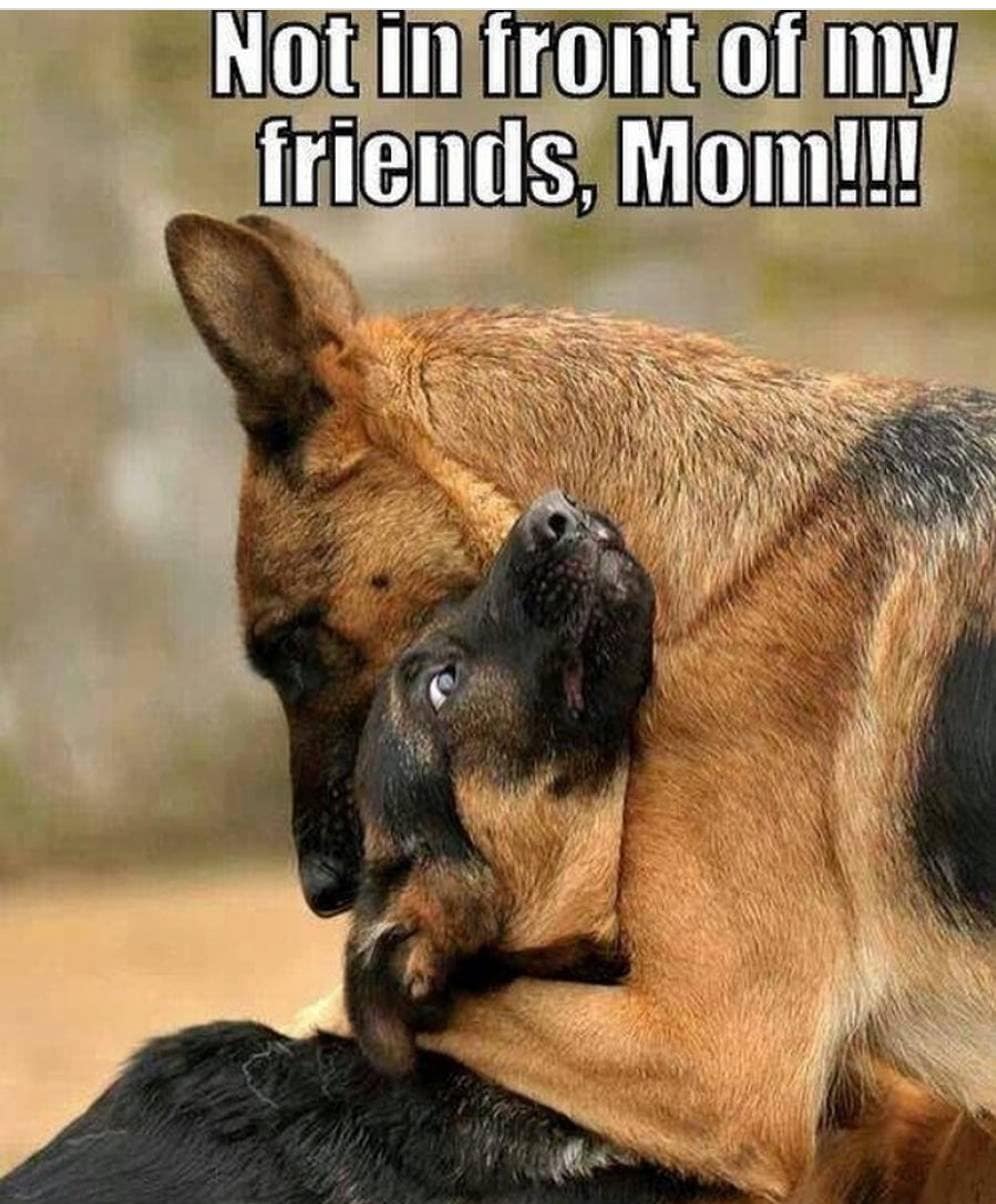 Don’t Embarrass Them at the Dog Park