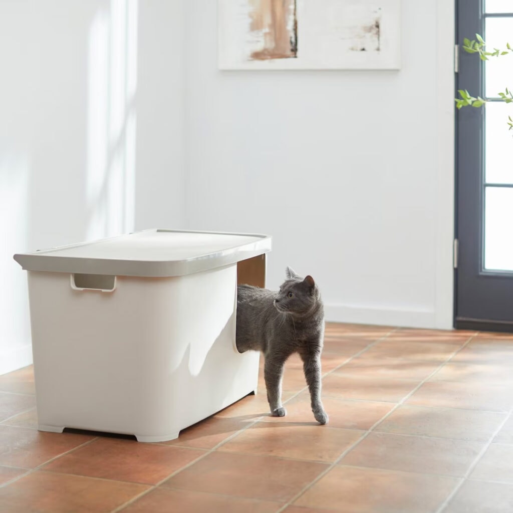Multilple Box 8 Best Hooded (Covered) Litter Boxes – 2026 Reviews & Top Picks ...