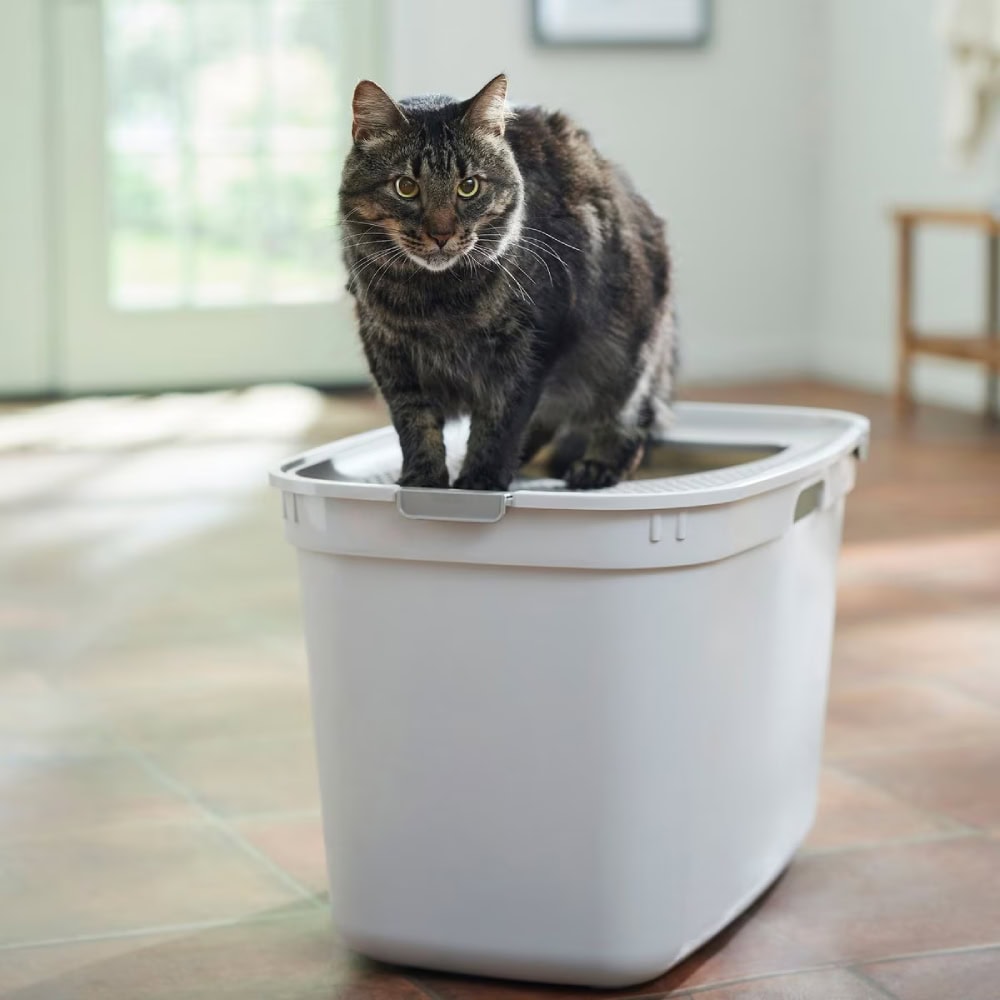 Frisco Top Entry Cat Litter Box 