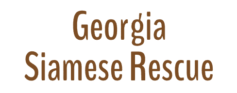 Georgia Siamese Rescue