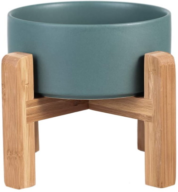 LIONWEI LIONWELI Ceramic Elevated Raised Cat Bowl with Wood Stand
