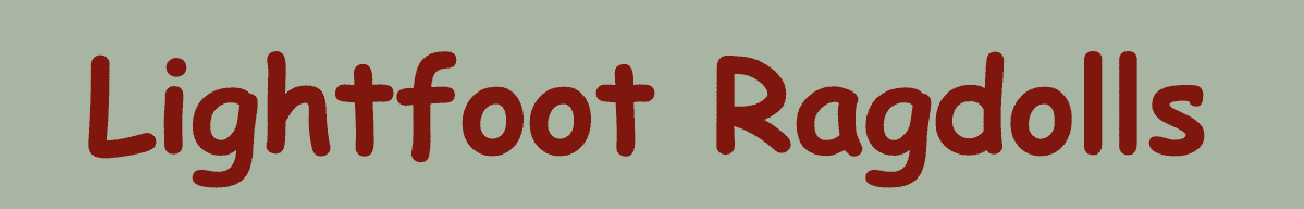 Lightfoot Ragdolls