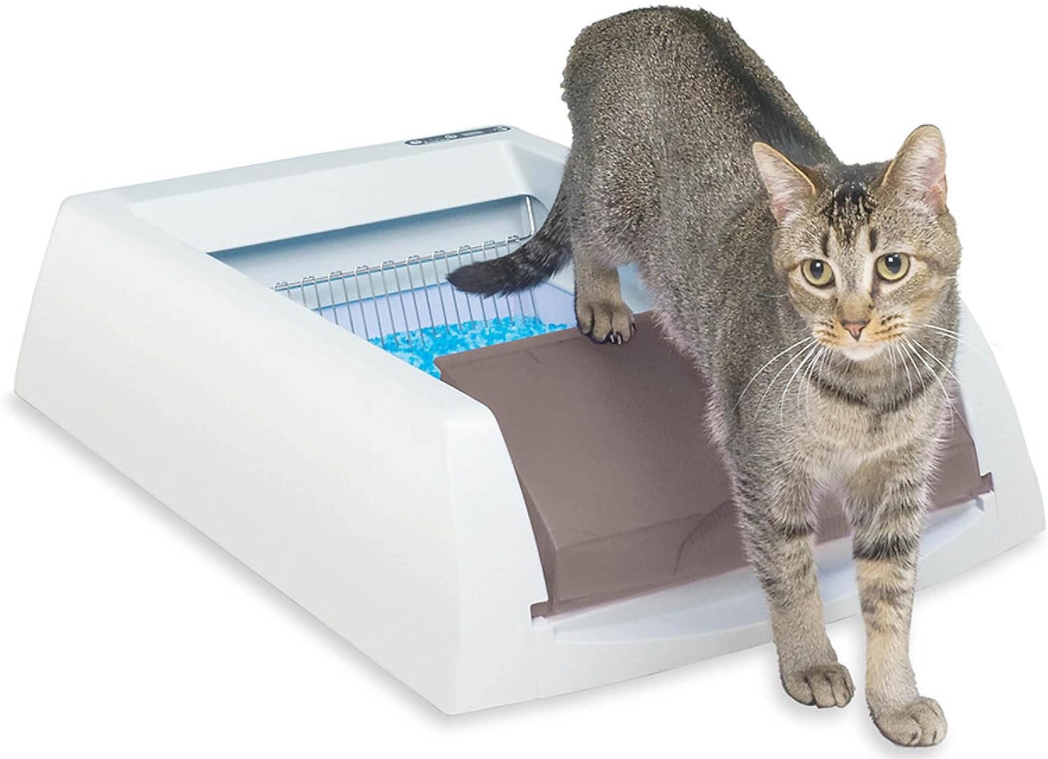 PetSafe ScoopFree Self-Cleaning Cat Litter Box