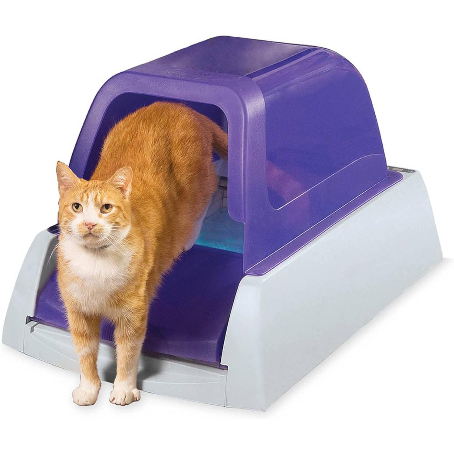 PetSafe ScoopFree Ultra Self-Cleaning Cat Litter Box