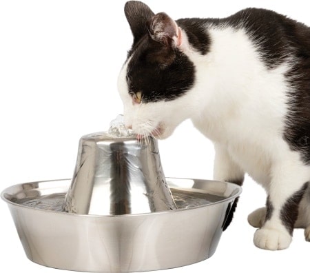 PetSafe Seaside Stainless Cat Fountain
