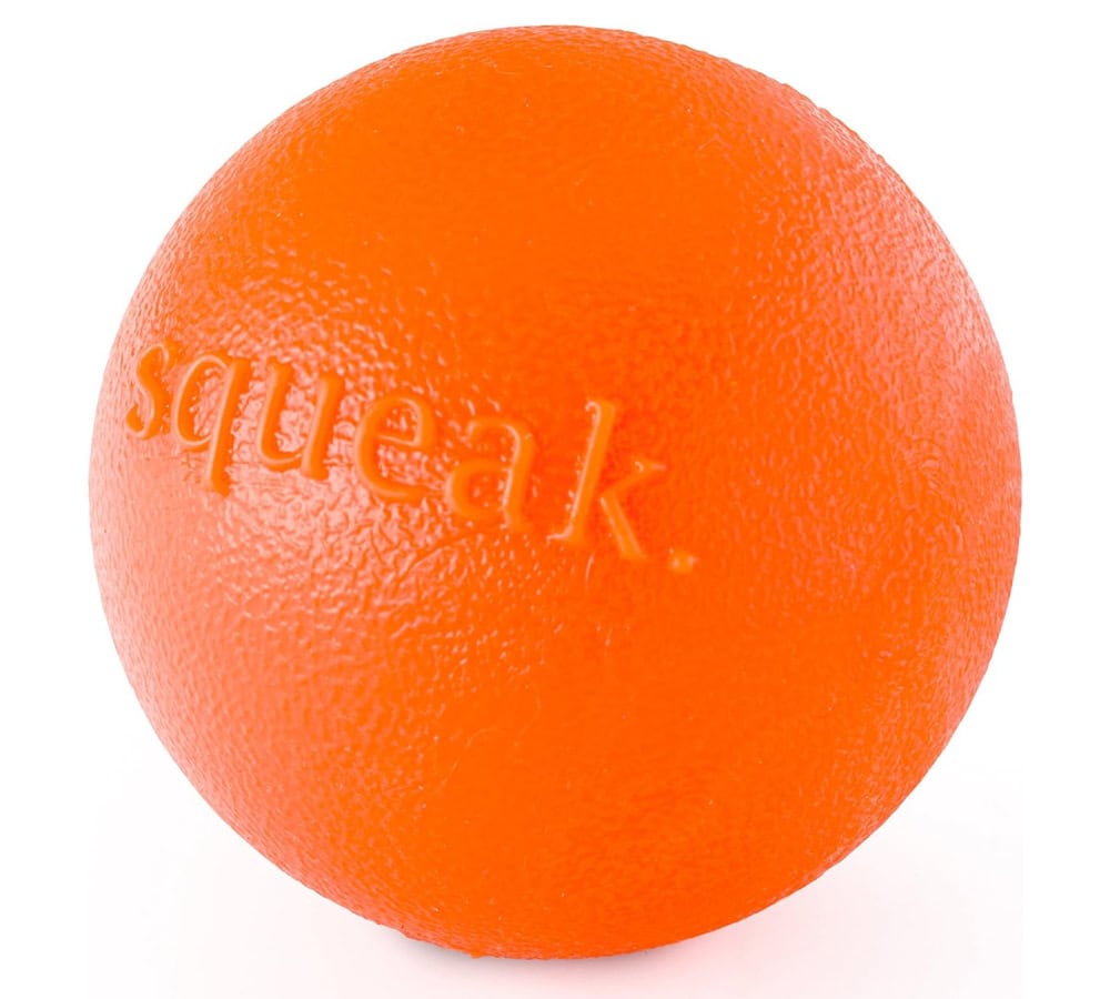 Planet Dog Orbee-Tuff Squeak 