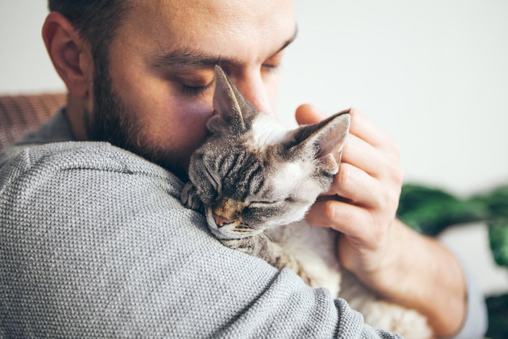 Portrait of happy snuggling cat with close eyes and young beard man