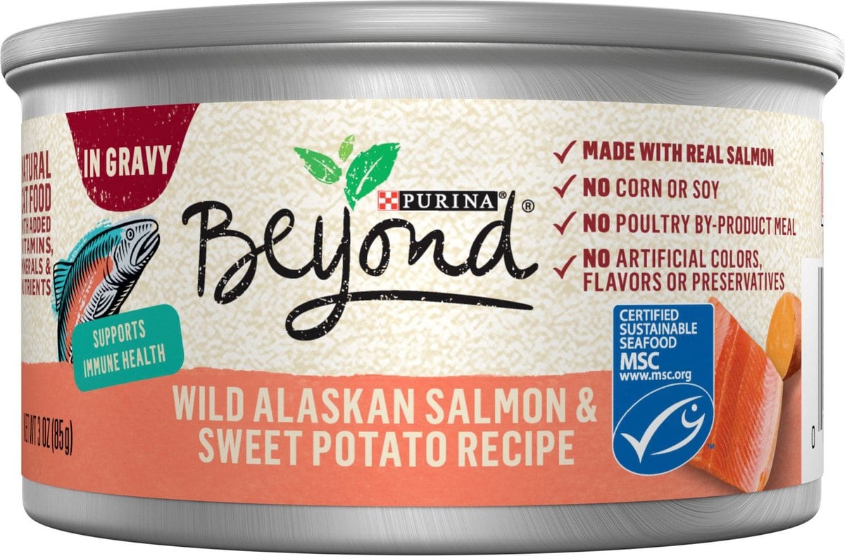 Purina Beyond Salmon & Sweet Potato Gravy Canned Cat Food