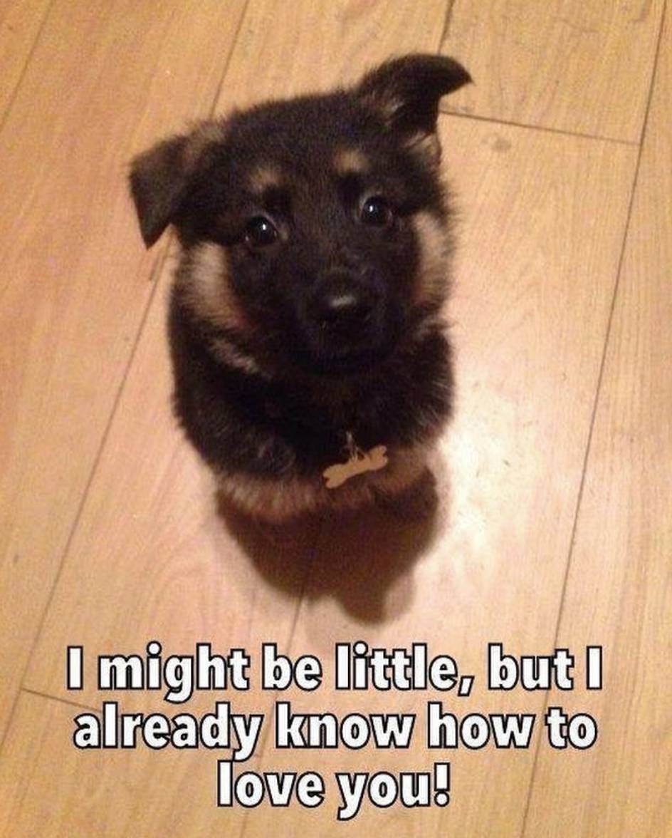 Small Body, Big Heart
