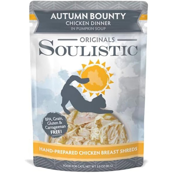 Soulistic Originals Chicken Pumpkin Soup