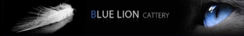 The Blue Lion Cattery logo