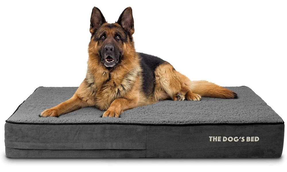 The Dog’s Bed Orthopaedic Dog Bed 
