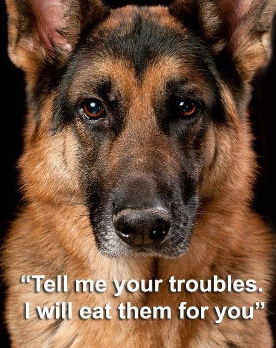 They’ll Be Your Best Friend