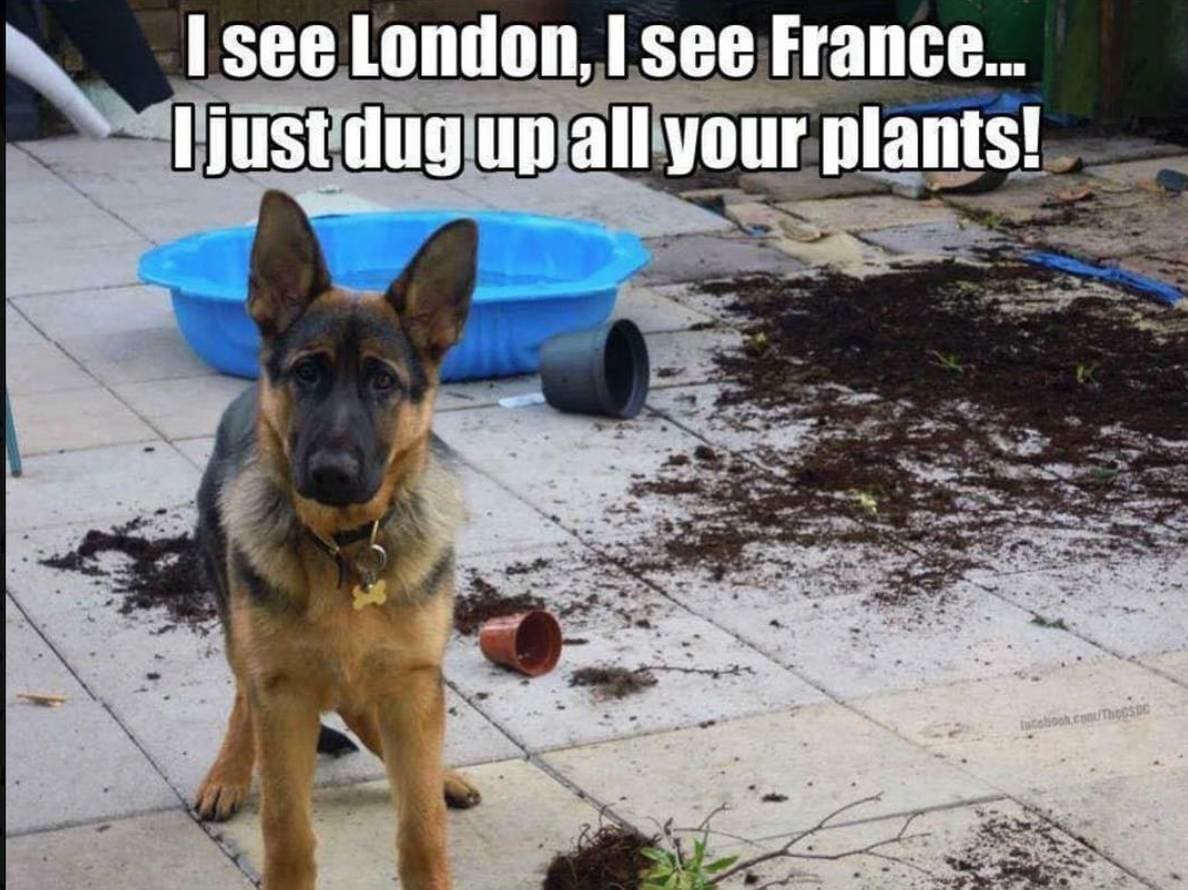 They’re Also a Gardener