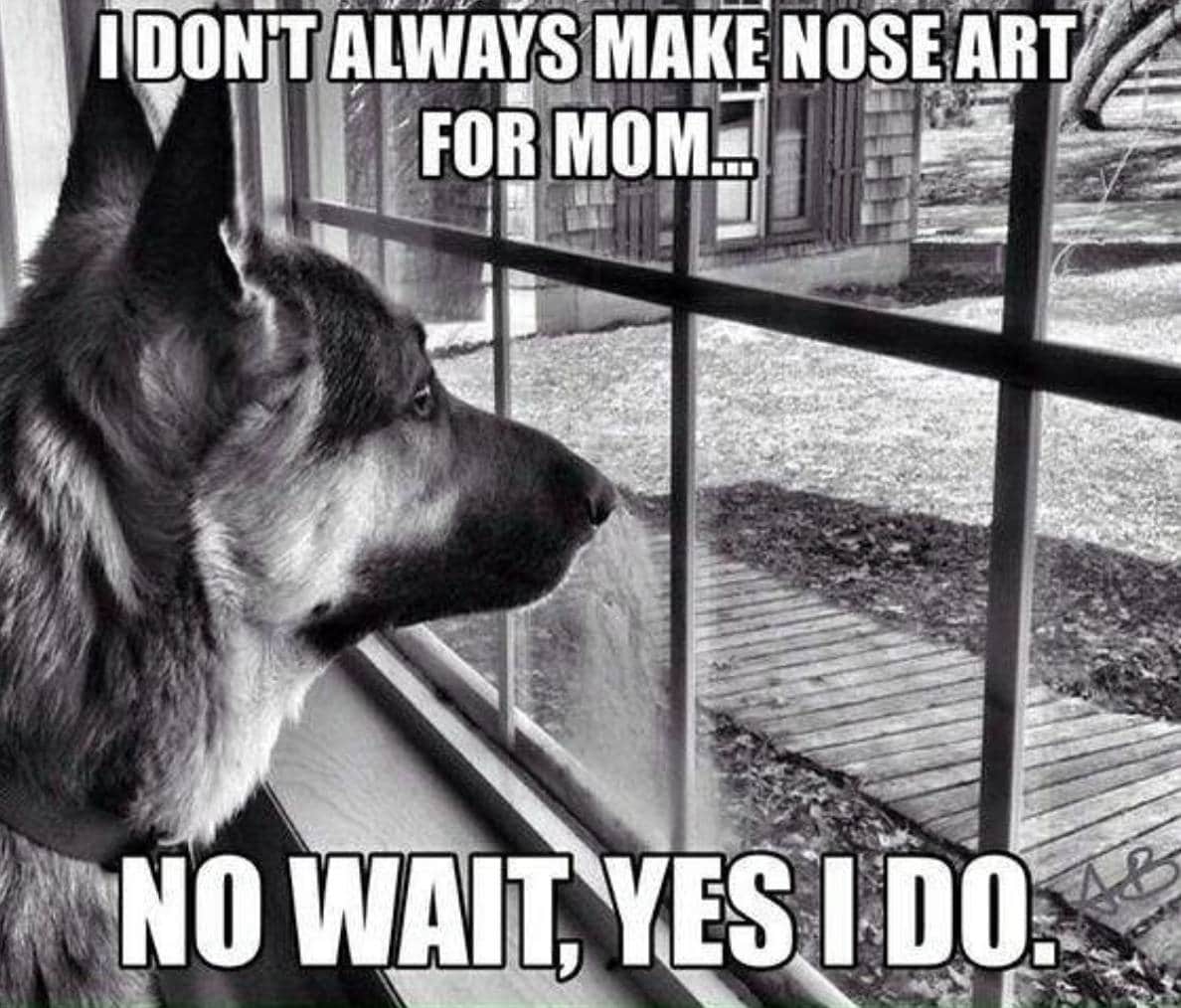 They’re Always Alert