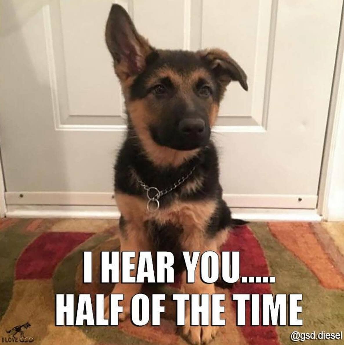 They’re Always There Even if They’re Not Always Listening