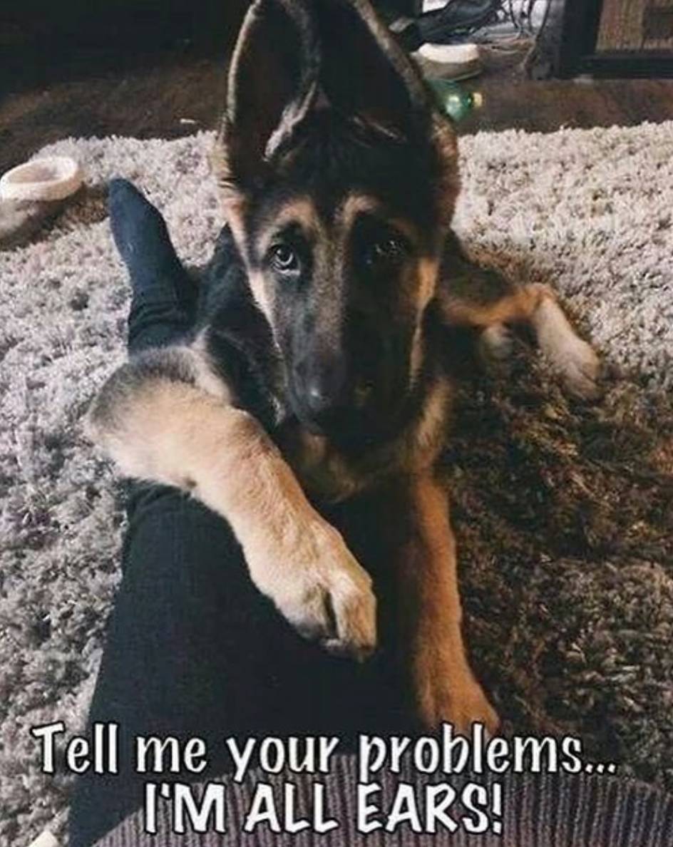 They’re Always There to Lend an Ear or Two
