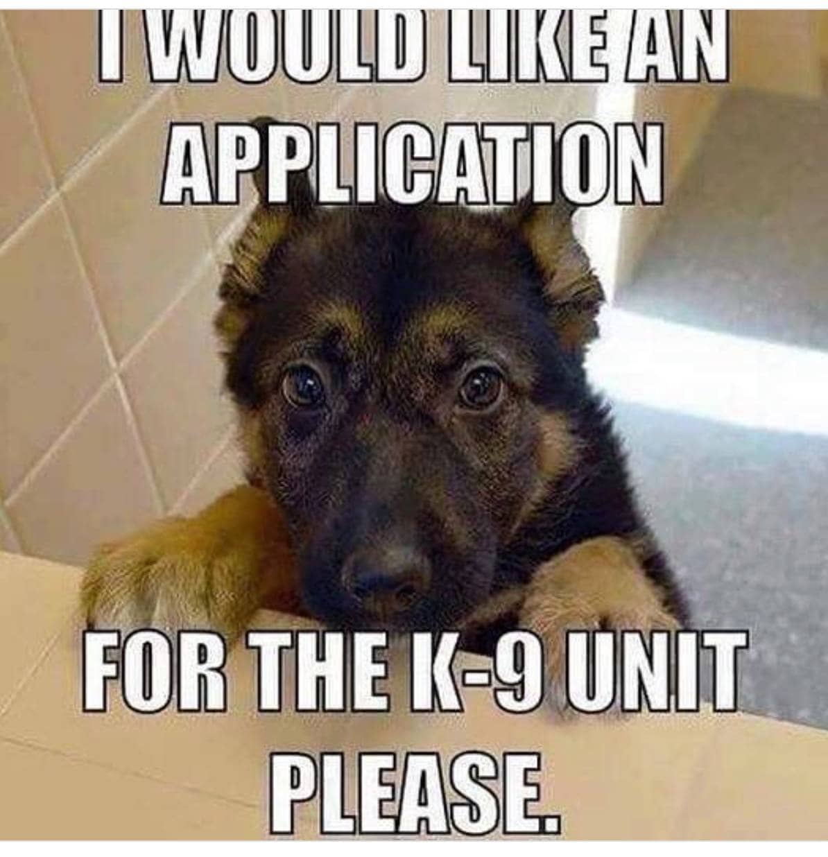 They’re Brave and Hard Working