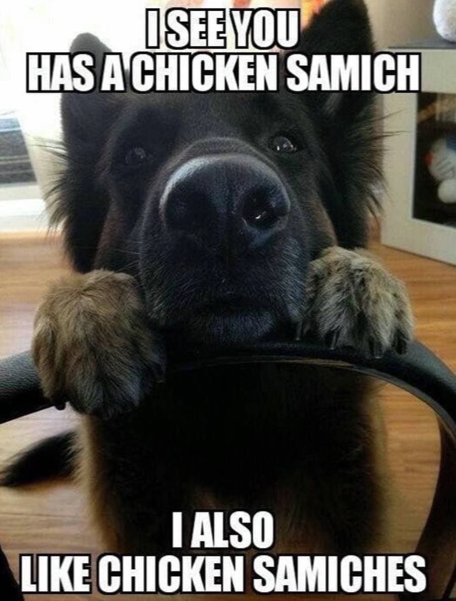 They’re Excellent Food Tasters