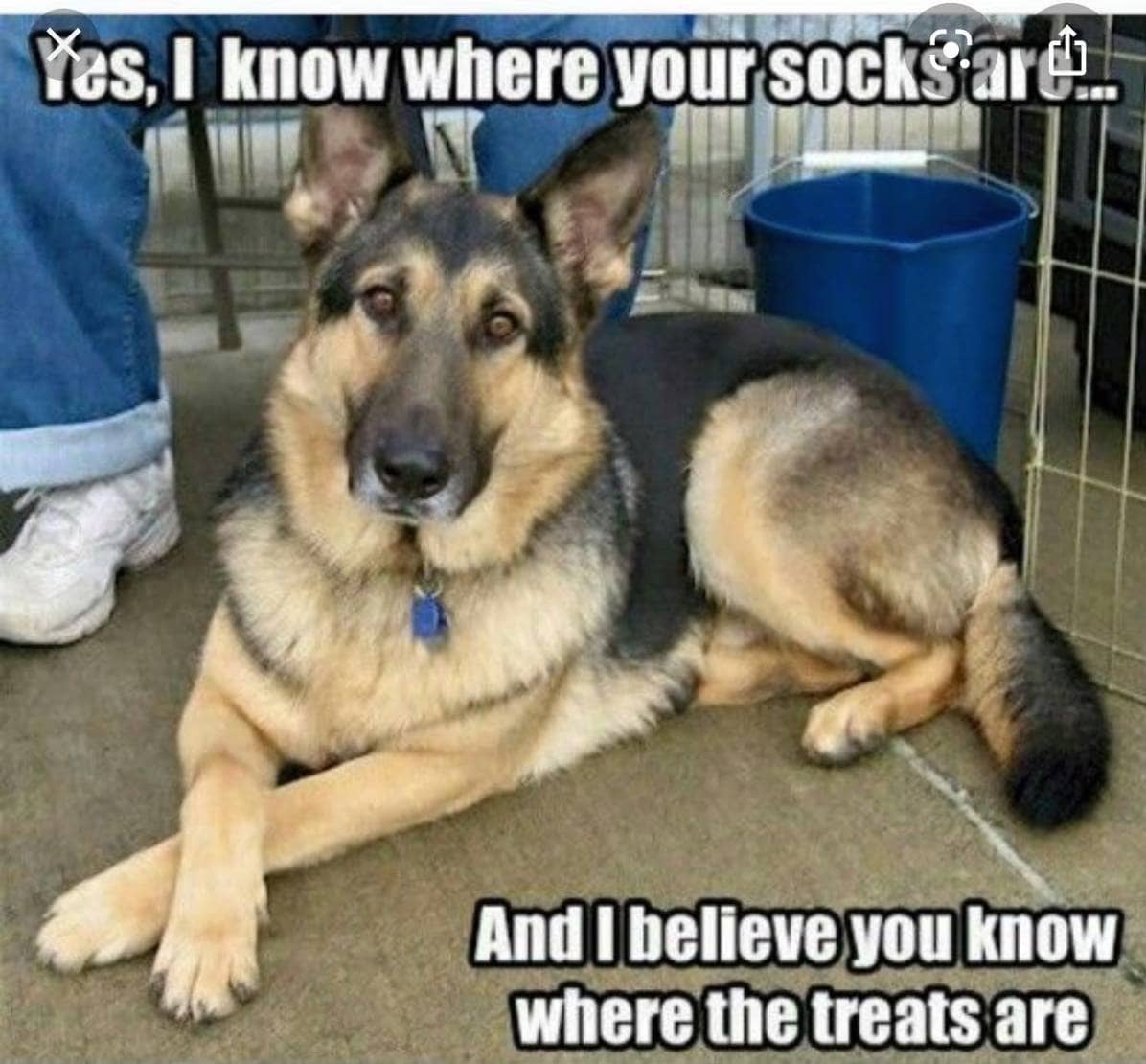 They’re Not Above a Little Bribery