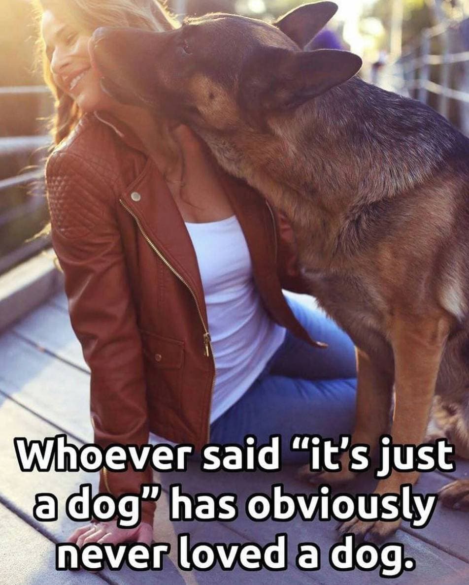 They’re Not “Just” a Dog, They’re Family