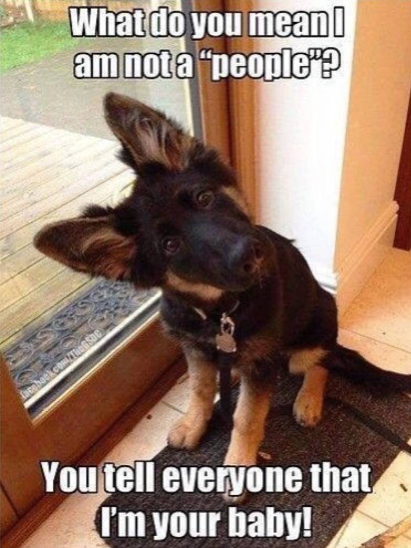 They’re Not People, but They’re Babies