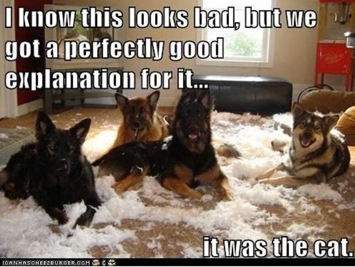 They’re Not the Best Liars