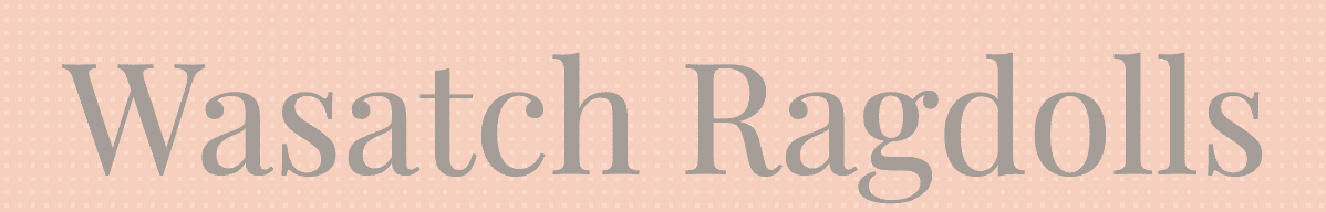 Wasatch Ragdolls