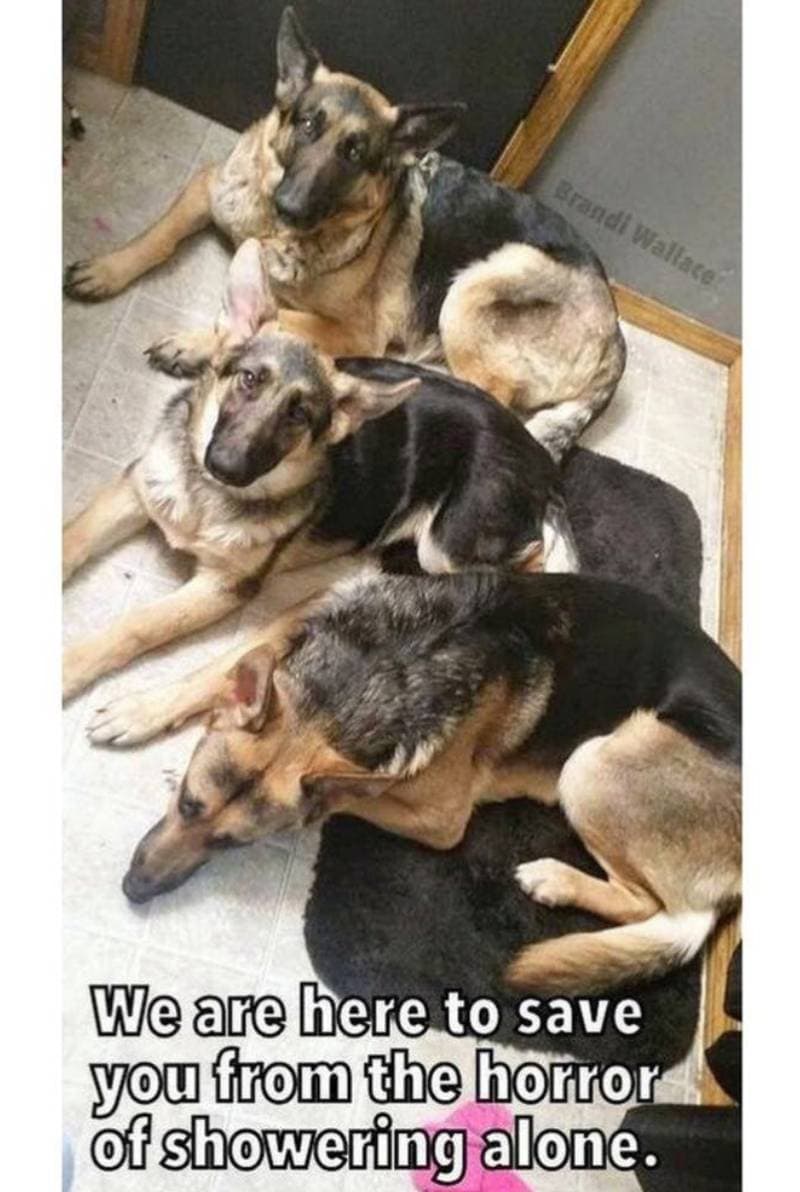 You Never Know When a Human Might Need Protection