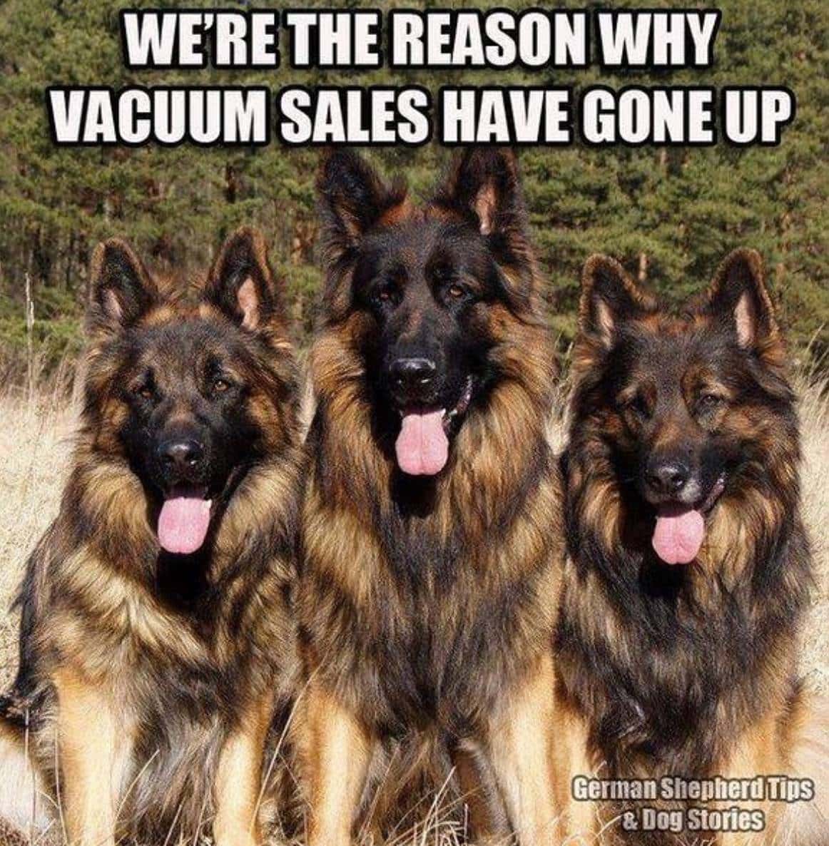 You and the Vacuum Will Be Well Acquainted by Now