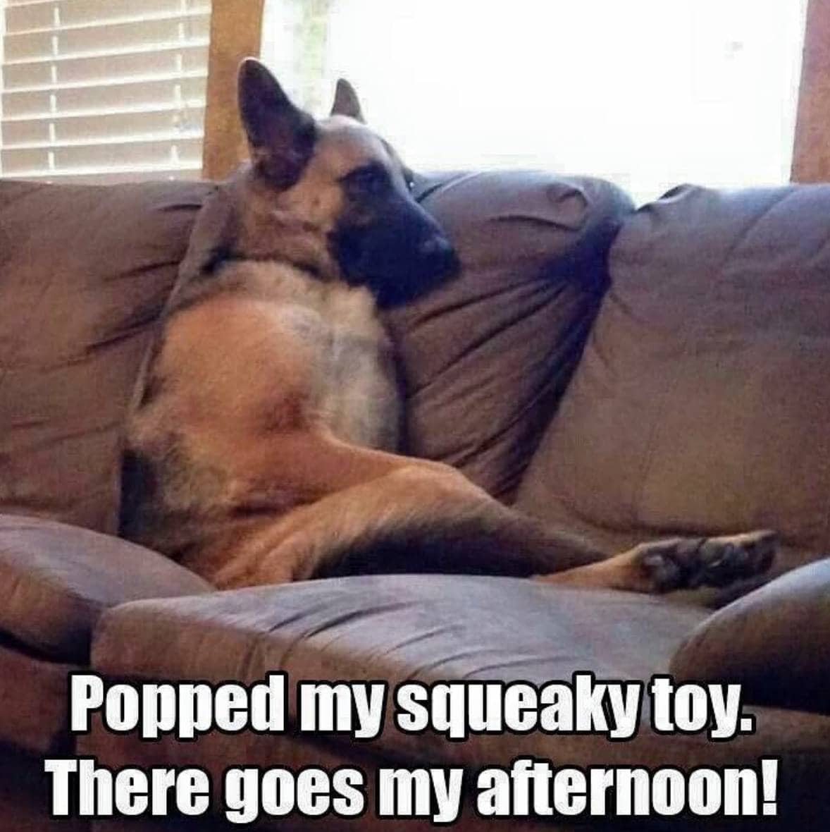 You’re Going to Spend a Lot on Toys