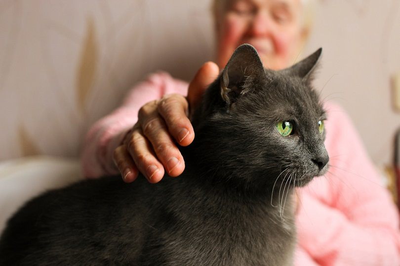 black cat sitting on elderly woman's lap
