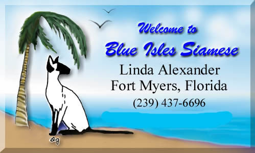 blue isles logo