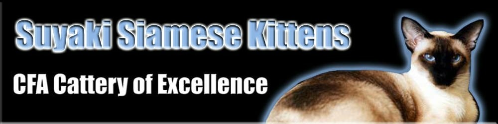suyaki siamese cattery