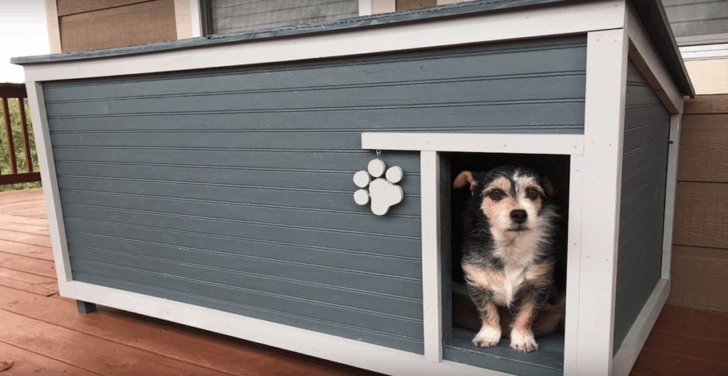 How to Build a Doghouse Out of Pallets — Step-by-Step Tutorial From The Saw Guy