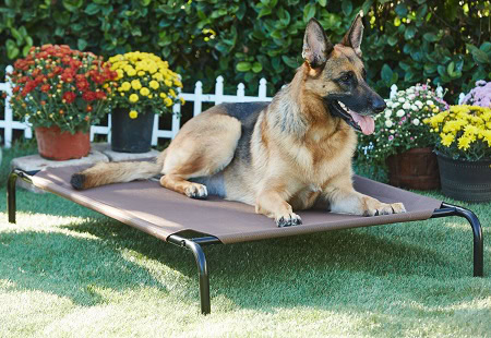 4Frisco Steel-Framed Elevated Dog Bed