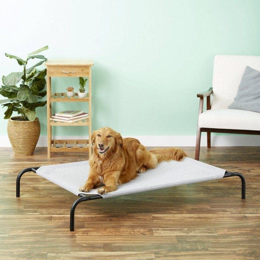 68879_MAIN._AC_SL1500_V1566240600_ (1)