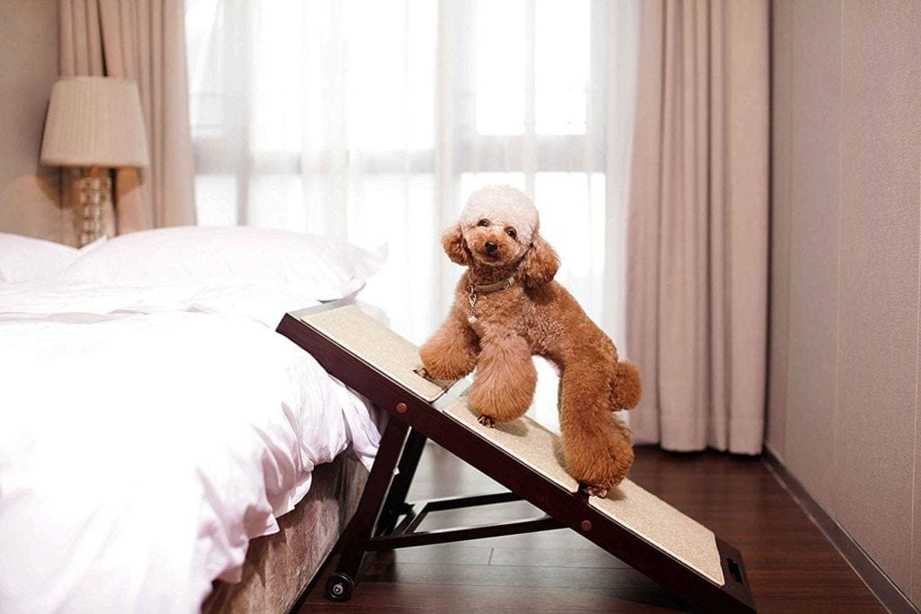 Best Dog Bed Ramp