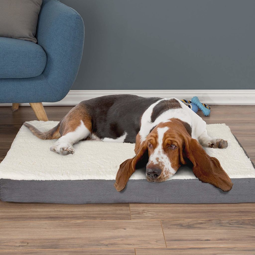 Best Orthopedic Dog Bed