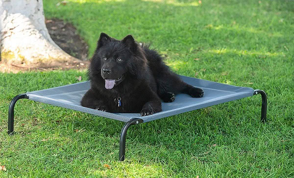Elevated Dog Bed