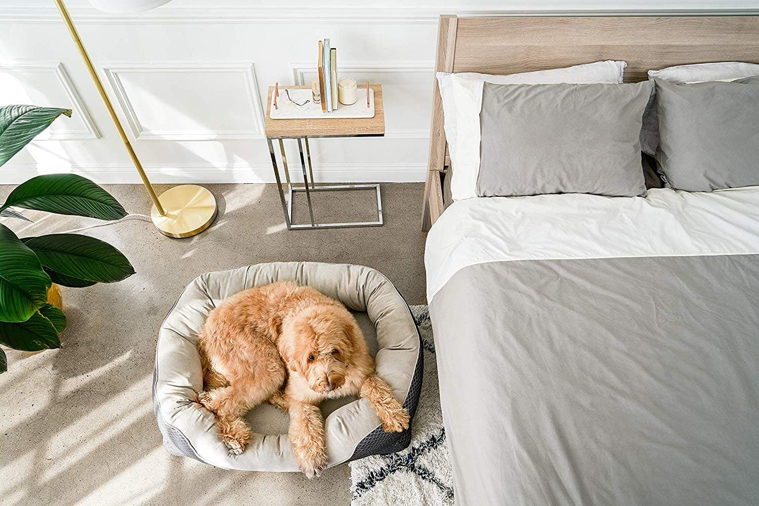 Bolster Dog Bed