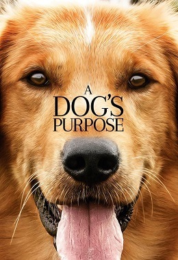 A Dog's Purpose