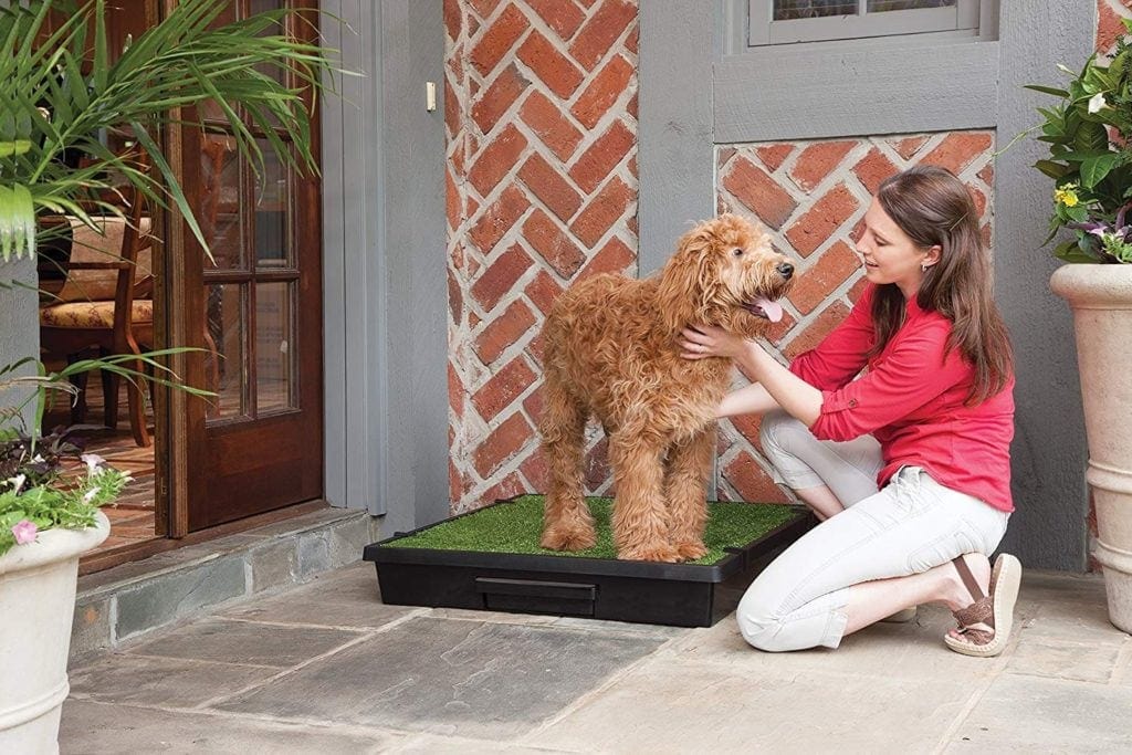 PetSafe PWM00-14499