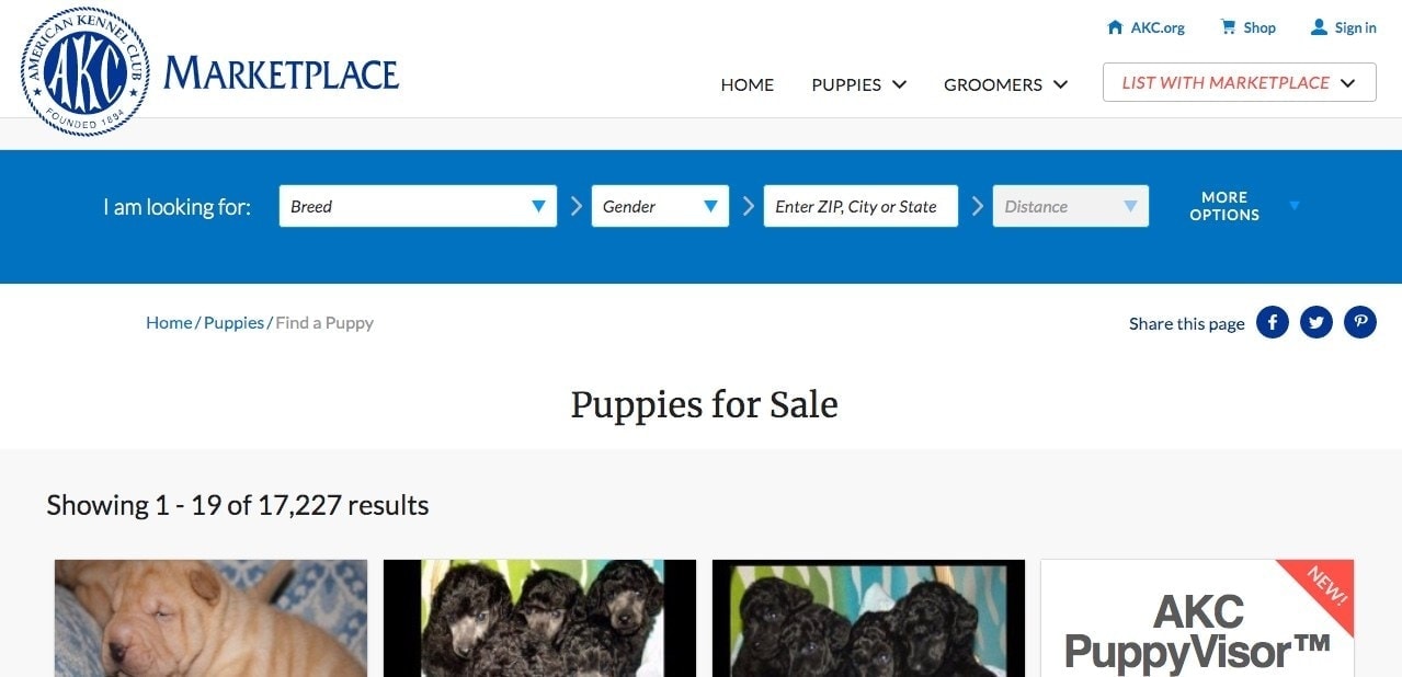 AKC Marketplace