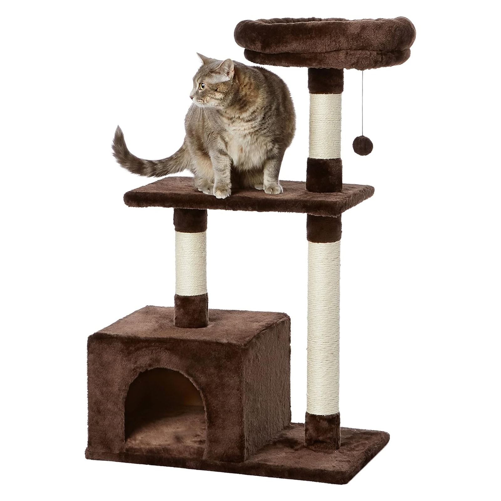 Amazon Basics Cat Tree with Base Condo