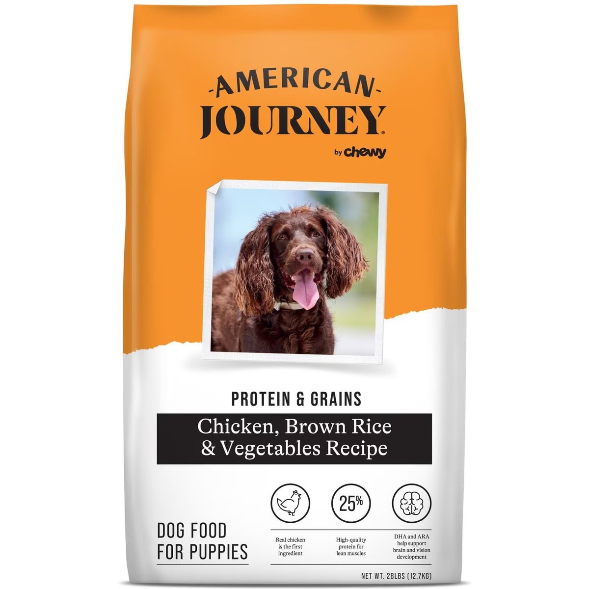 American Journey