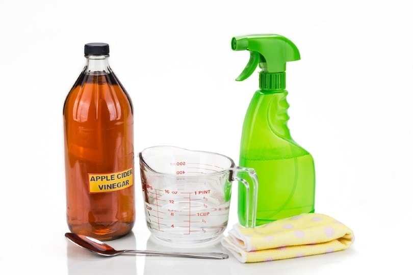 Apple cider vinegar and water