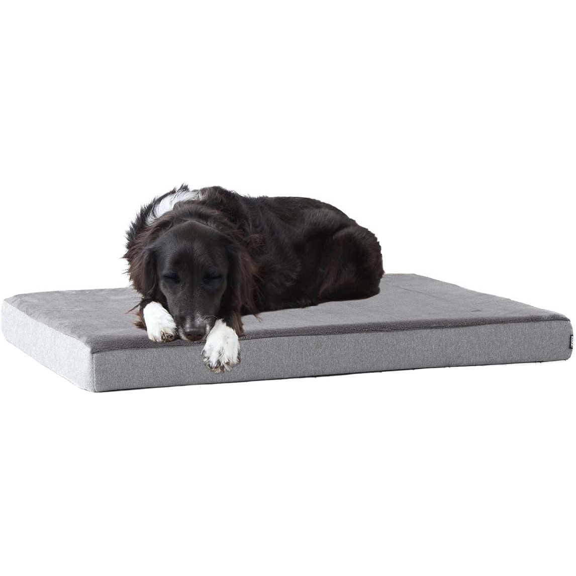 BarkBox Memory Foam Dog Bed