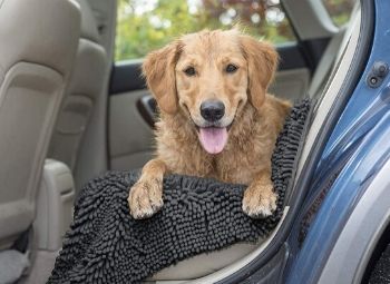 Best Dog Mat