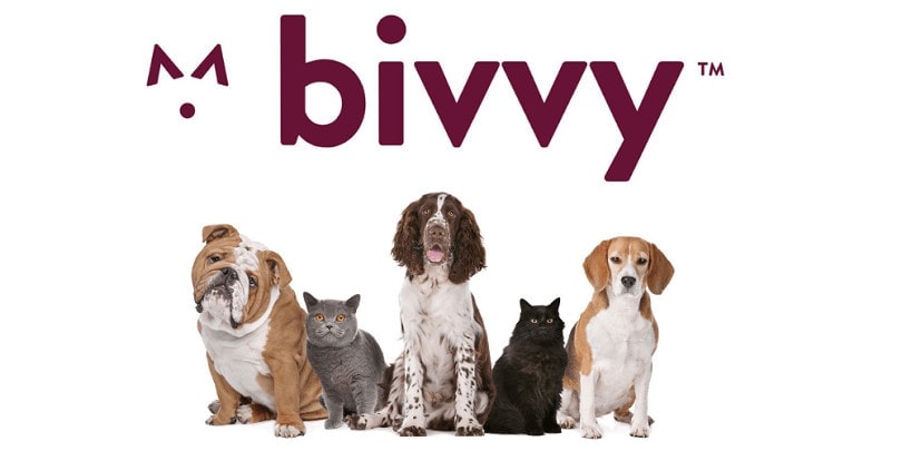 Bivvy Pet Insurance